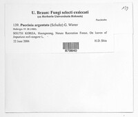 Image Associated With the Occurrence